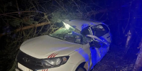 Автомобиль вылетел в кювет на трассе в Осташковском округе - Афанасий-биржа