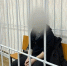Хабаровчанин осужден за государственную измену - Khabara.Ru