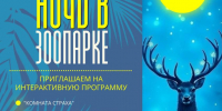 t1xmcj7klqtjfta7yqezyapzf9t8xr8tymcfusswpzqxrweldjqhbh3u6vkekihilpkuz_yfi2k3dv0kpyokd8mj.jpg - Омский портал Культура