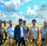 Самарский ГАУ и Управление сельского хозяйства и продовольствия администрации Исаклинского района провели совместный День поля - Самарский ГАУ