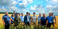 Самарский ГАУ и Управление сельского хозяйства и продовольствия администрации Исаклинского района провели совместный День поля - Самарский ГАУ
