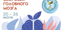 Здоровье мозга: основа активного долголетия - Сетевое издание Знамя 33