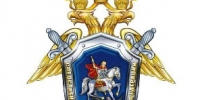 В Самаре после нападения собак на женщину возбудили уголовное дело - TltGorod.Ru