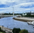 Пробы воды из Туры направили на анализ после гибели рыбы - NG72.Ru