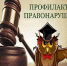 Дистанционный кураторский час «Понятие общественного порядка и общественной безопасности. Нарушение правил тонировки»  - Вавиловский университет