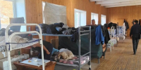 В Коми пресечена деятельность группы лиц, незаконно легализовавших пребывание в регионе 187 иностранных граждан - ИА Комиинформ