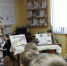 Каникулы продолжаются или лето, полное открытий - ЦБС Балахнинского района