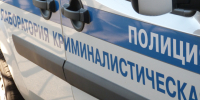 В лесу Всеволожского района задержали наркосбытчика - 47Channel.Ru