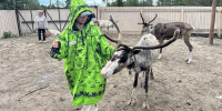 девушка ведет оленя - ИА Nord-News.Ru