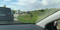 Саратовская прокуратура опротестовала штрафы водителям из очередей на АЗС - Четвертая Власть