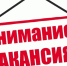 Вакансия!. - Мишкинский муниципальный округ