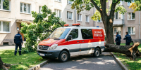 Женщина отсудила у властей 400 тысяч рублей за рухнувший на нее тополь - Zebra-TV.Ru