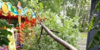 В Новосибирске дерево рухнуло на аттракцион в парке «Березовая роща» - Сиб.фм