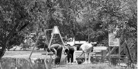 Вода уходит разными путями - Тюменский курьер