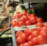 Госдума намерена усилить контроль за ценами на продукты - Башинформ