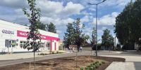 В Любытине продолжаются работы по обновлению Базарной улицы 1 - Новгородское областное телевидение