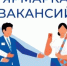 Ярмарка вакансий для участников СВО и их близких: возможности трудоустройства и поддержки в Миассе - Управление соцзащиты населения