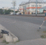 «Зеленый Феникс» в действии: как студенты Центрального района преображают Барнаул - Администрация г. Барнаул