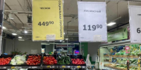 портал - Вологда-поиск
