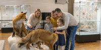 С 1 августа в музее начнет действовать новый прейскурант услуг! - Краеведческий музей