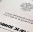 В Камышине на подростка завели дело - Газета Городские вести