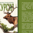 2ece3ff5-72ca-4b39-8a04-94989b86d477.jpg - Администрация г. Ростов-на-Дону