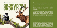 2ece3ff5-72ca-4b39-8a04-94989b86d477.jpg - Администрация г. Ростов-на-Дону