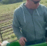В Калужской области стартовала уборка картофеля - Калужский перекрёсток