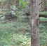 Калуга-поиск - Kaluga-Poisk.Ru