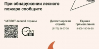 Жителям области напоминают о необходимости соблюдения требований особого противопожарного режима в лесах. - Сокольский муниципальный округ