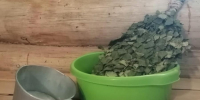 Фестиваль сибирской бани пройдет на ОбьГЭС - Газета Навигатор