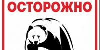 Памятка по выходу дикого зверя (медведя) в населенные пункты. - Северо-Енисейский муниципальный округ