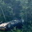 12-летний и 19-летний пассажиры пострадали в ДТП в Кадыйском районе - ГТРК Кострома