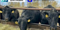 Внимание владельцев личных подсобных хозяйств и крестьянских (фермерских) хозяйств! - Всеволожский район