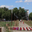В Ясном появилась аллея Героев - Министерство строительства, ЖКХ, дорожного хозяйства и транспорта