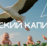 Семья остаётся главной ценностью для россиян👨‍👩‍👧‍👦❤️. - Жердевский муниципальный округ