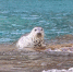 ut348njkx7ctucnv9zlzpy9dvl0l65sn.jpg - Primorye24.Ru