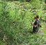 Обращения жителей не остаются без ответа - Газета Великолукская правда