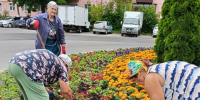 Лето в Железногорске — это калейдоскоп ярких красок и душистых ароматов - Газета Железногорские новости
