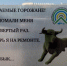 image - GazetaRB.Ru