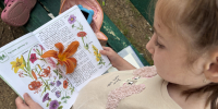 Тучковские ребята научились определять растения с помощью книги - РузаРИА