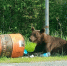 photo - ОМЕДИА!