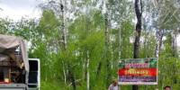 В Башкортостане установили 236 противопожарных аншлагов для профилактики возгораний в лесах - Министерство лесного хозяйства