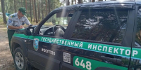 За неделю в Ленобласти составили 55 протоколов за нарушения правил посещения заповедных территорий - ЛенТВ24