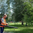 В Курганской области выросли продажи садовой техники — газонокосилок и дровоколов  - Новый мир
