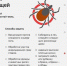 Внимание: сезон клещей! – памятка для населения - Зерноградское городское поселение