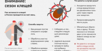 Внимание: сезон клещей! – памятка для населения - Зерноградское городское поселение