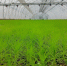 Фото ТГ-канала Минприроды ДНР - НИА