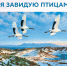 В Литературном музее пройдет презентация книги «Виктор Бахтин: Я завидую птицам» - Краевой краеведческий музей