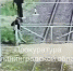 Прокуратура направила в суд дело о попытке трёх иностранцев незаконно пересечь границу в Мамоново - KaliningradToday.Ru